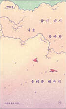 꿈이 다시 나를 찾아와 불러줄 때까지 (큰글자도서)