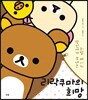 리락쿠마의 희망