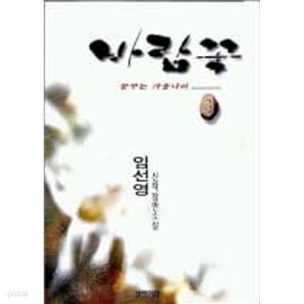 1998년 초판 임선영 신작장편소설 바람꽃 3 꿈꾸는 가을나비