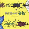 무슨 일이야? 곤충!