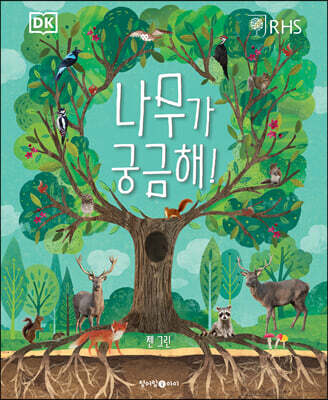 DK 나무가 궁금해!