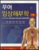 무어 임상해부학