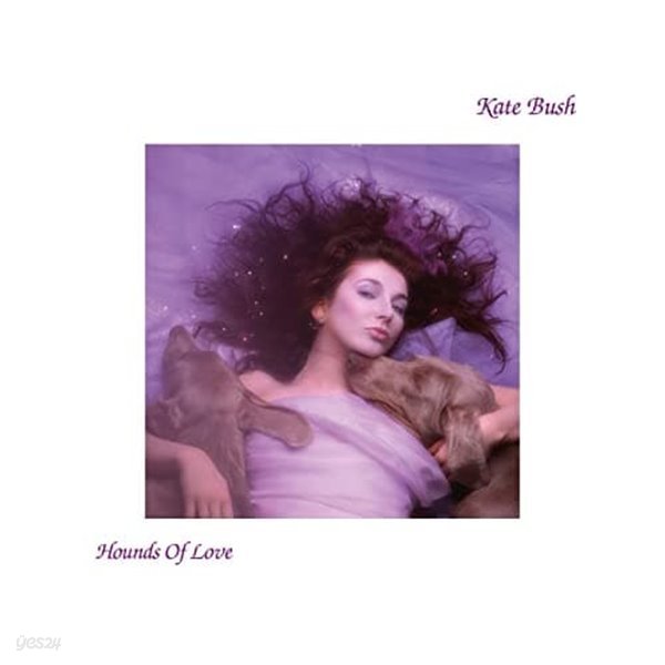 Hounds Of Love 케이트 부쉬 기묘한이야기 Kate bush 엘피 LP 바이닐