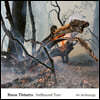 Steve Tibbetts (스티브 티벳츠) - Hellbound Train : An Anthology