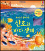 요리조리 열어 보는 산호와 바다 생태