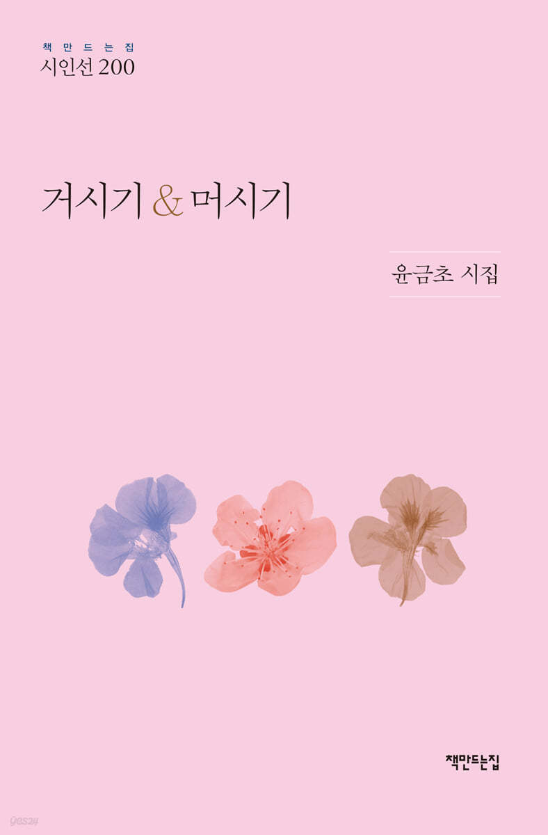 거시기 &amp; 머시기