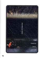 사울 레이터 더 가까이