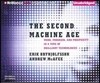 The Second Machine Age