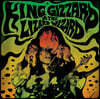 King Gizzard and the lizzard wizzard (킹기자드 앤 더 리자드 위자드) - Live at Levitation 14 [그린 컬러 LP]