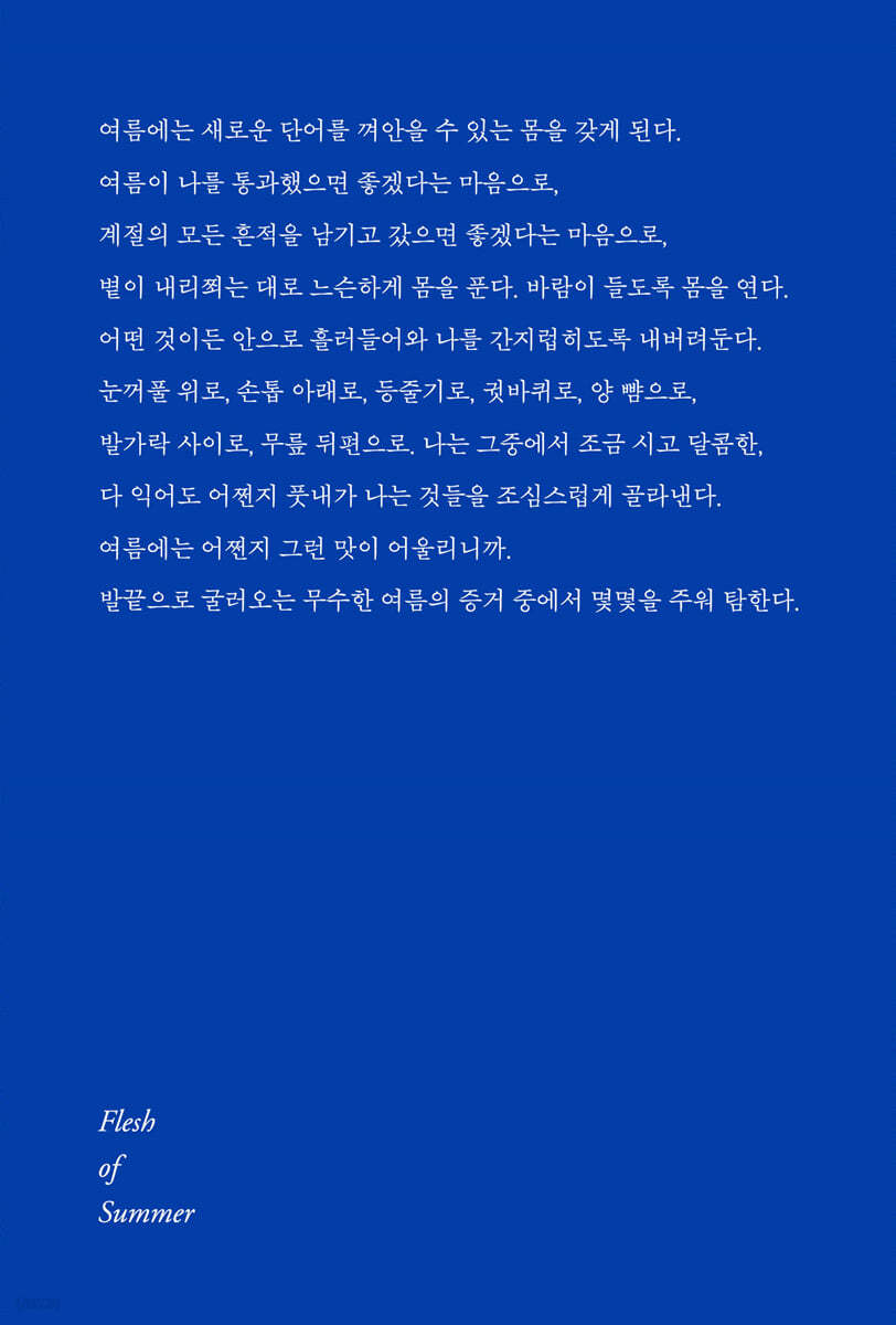 여름의 피부 리커버