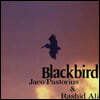 Jaco Pastorius / Rashid Ali (자코 파스토리우스 / 라시드 알리) - Blackbirds