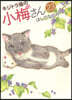 キジトラ猫の小梅さん 23