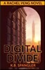 Digital Divide