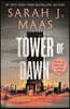 Tower of Dawn