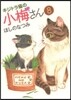 キジトラ猫の小梅さん   8