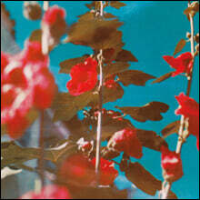 Chad Lawson 채드 로슨 피아노 작품집 (Breathe) [2LP]