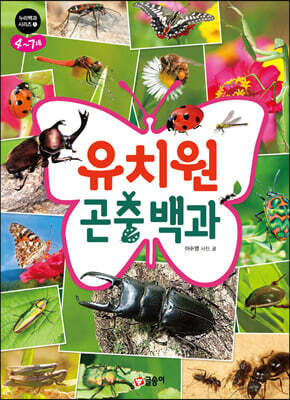 유치원 곤충 백과