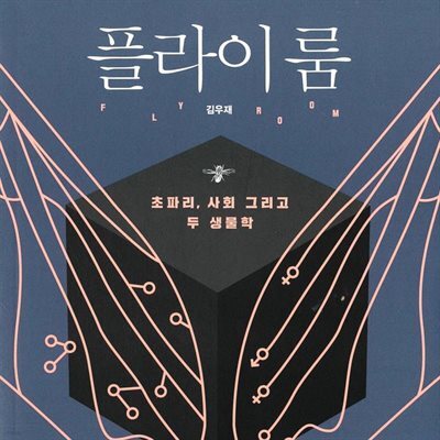 플라이룸