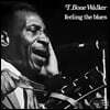 T-Bone Walker (티 본 워커) - Feelin' the Blues