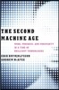 The Second Machine Age: Work, Progress, and Prosperity in a Time of Brilliant Technologies