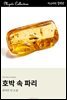 호박 속 파리