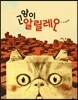 고양이 알릴레오