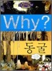 Why? 와이 동굴
