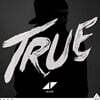 Avicii - True