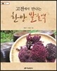 고전에서 만나는 한방 발효액