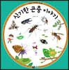 신기한 곤충 이야기
