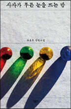 사자가 푸른 눈을 뜨는 밤