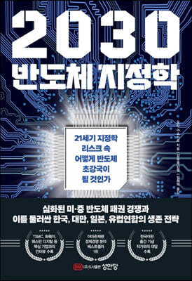 2030 반도체 지정학