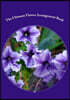 The Ultimate Flower Arrangement Book: Kathrine Thor Stratton