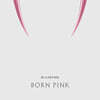 블랙핑크 (BLACKPINK) - BLACKPINK 2nd ALBUM [BORN PINK] KiT ALBUM