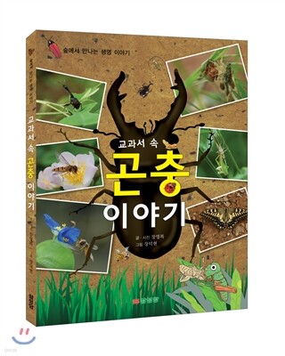 교과서 곤충 이야기