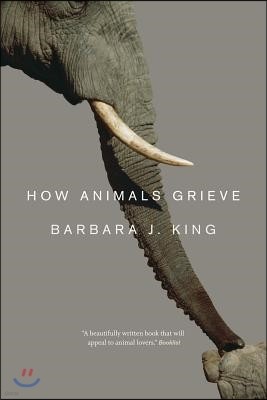 How Animals Grieve