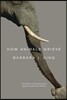 How Animals Grieve