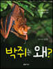 박쥐는 왜?