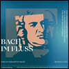 Rudolf Lutz 바흐와 시간의 강 (J.S. Bach: Im Fluss)