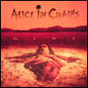 Alice In Chains (앨리스 인 체인스) - 2집 Dirt [옐로우 컬러 2LP]