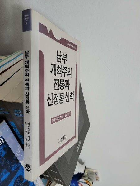 남부 개혁주의 전통과 신정통 신학