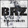 브리즈 (The Breeze) 3집 - Alive
