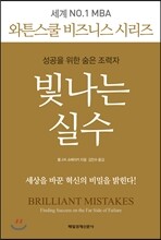 빛나는 실수