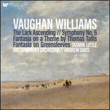 Andrew Davis 본 윌리엄스: 종달새의 비상 (Vaughan Williams: The Lark Ascending) [2LP]
