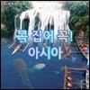 [스페셜] 콕 집어 꼭! 아시아