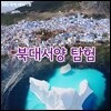 [스페셜] 북대서양 탐험