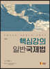핵심강의 일반국제법
