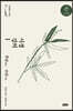 시경 강의 1 (큰글자책)