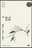 시경 강의 2 (큰글자책)