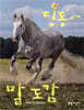 딩동~ 말 도감